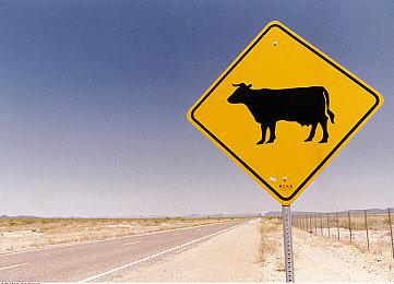 《刺客信条：幻景》玩家能以任意顺序刺杀目标